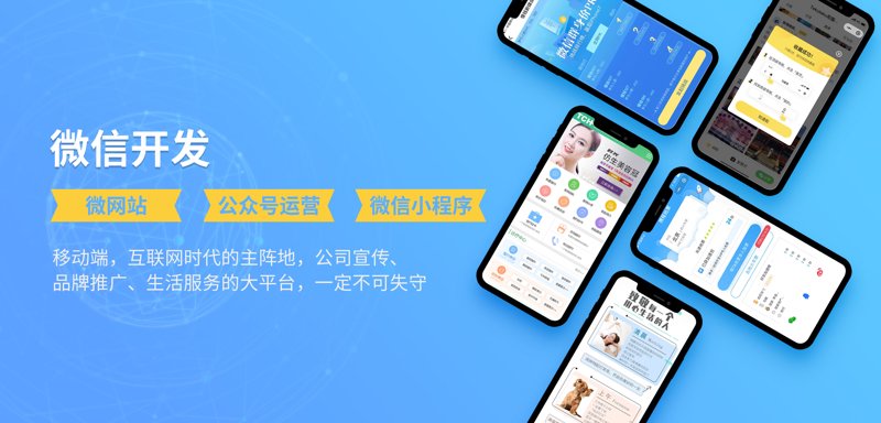 案例分析：如何选择合适的广州软件开发服务
